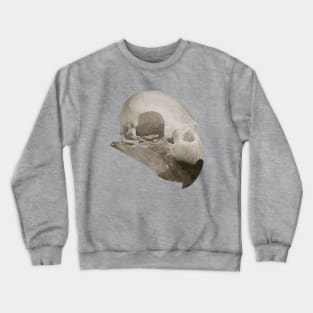 Parrot Skull Crewneck Sweatshirt